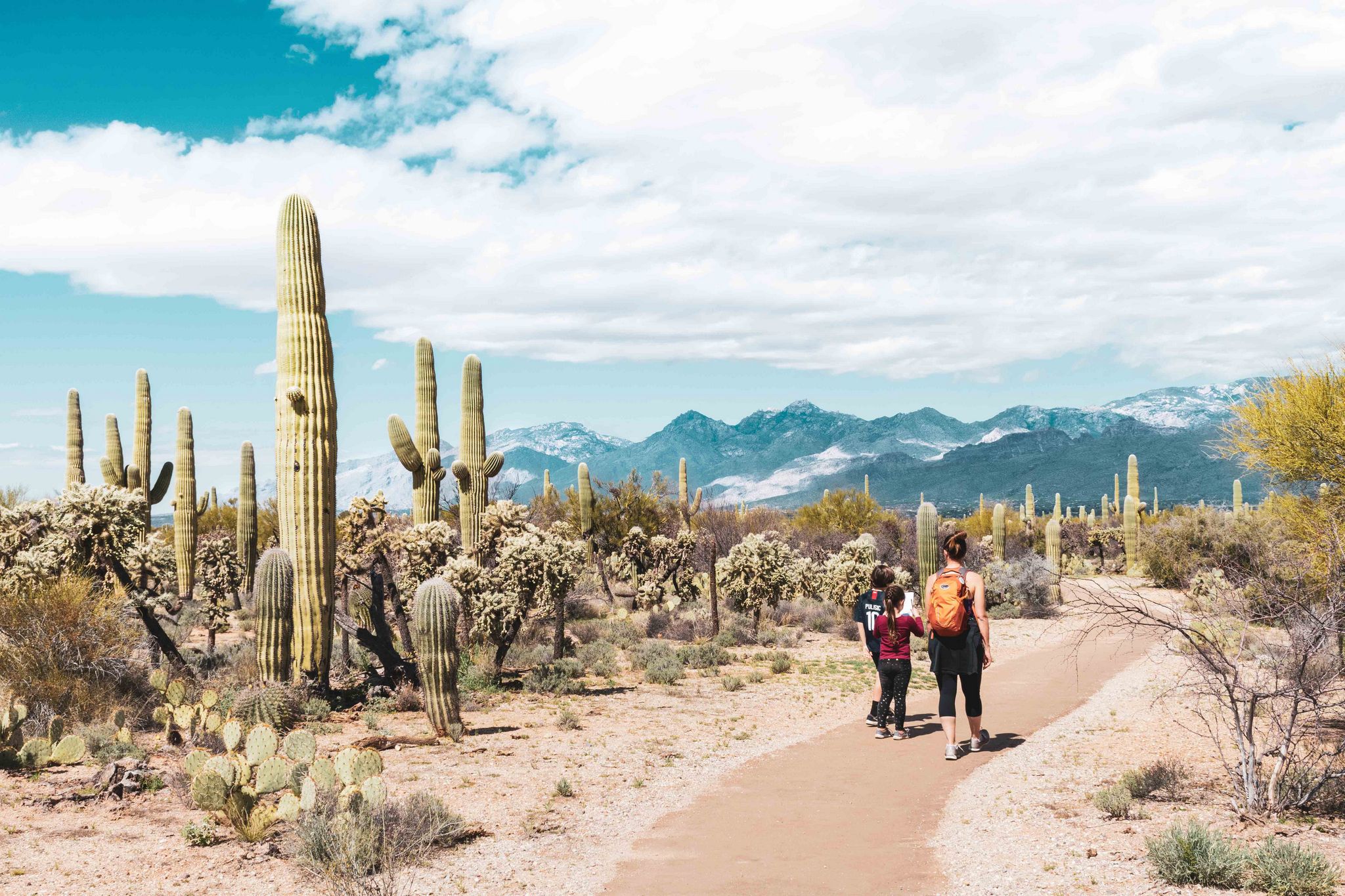 What to do in Saguaro National Park with Kids — Big Brave Nomad