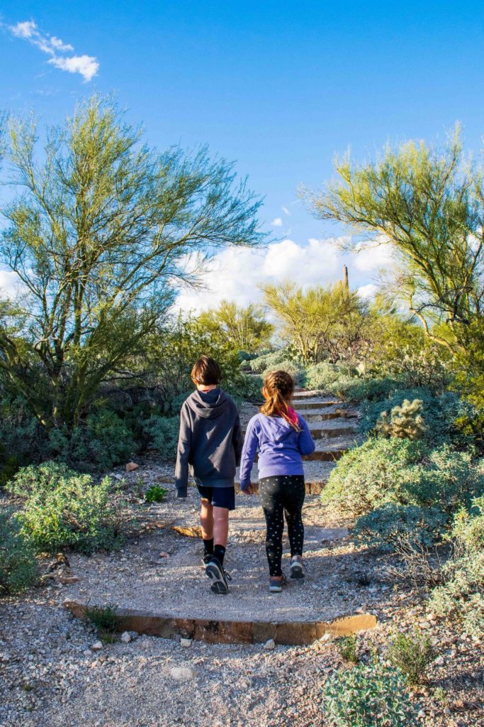 Saguaro Run Trail Rosa Niños - Saguaro México