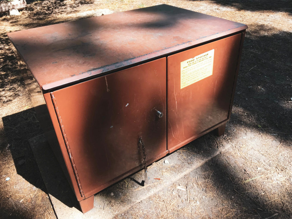 Photo of Bear Locker