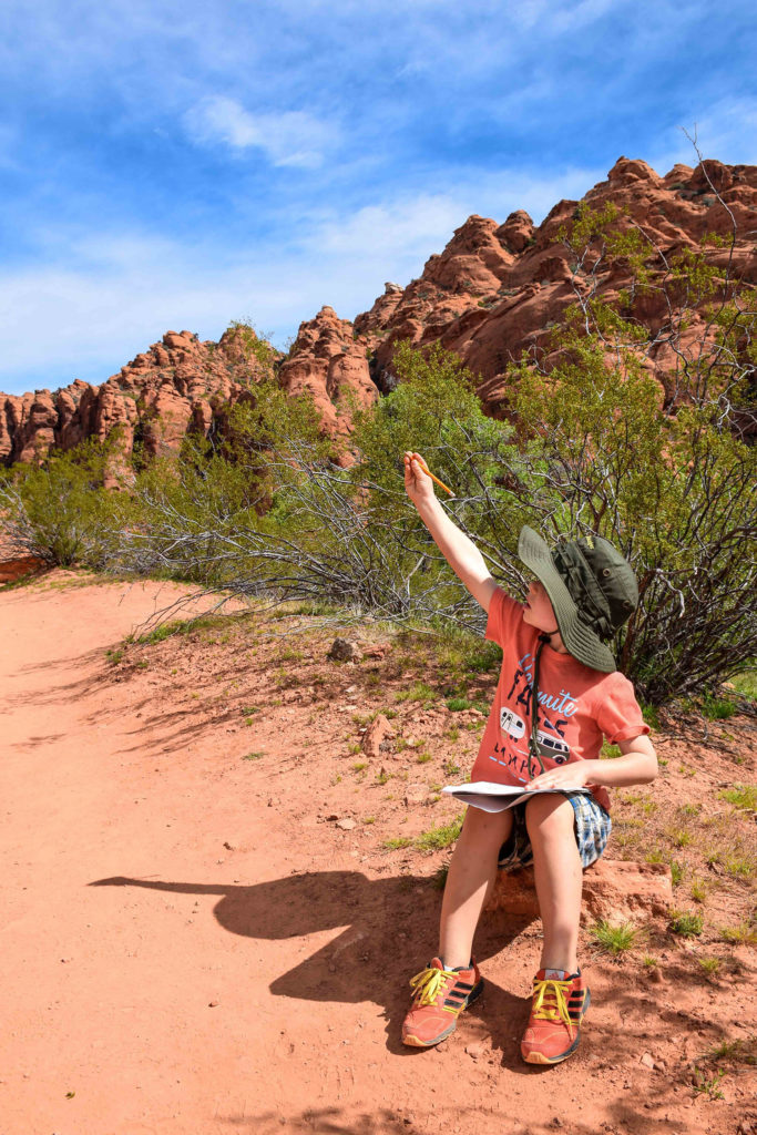 Photo of a junior ranger in action