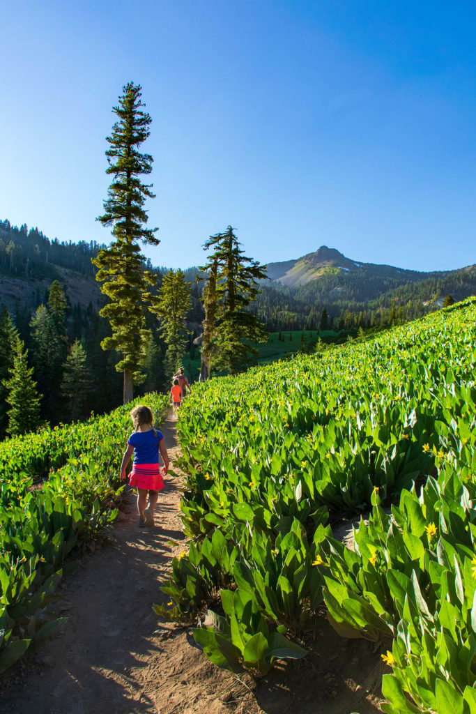 Photo of kids hiking at Lassen Volcanic